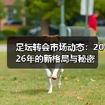 玄熵博洛尼亚粉丝网-图5