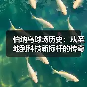 新闻-图5