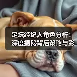 新闻-图4
