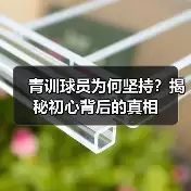 新闻-图8