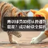 新闻-图6