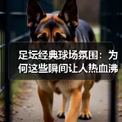 新闻-图7