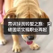 新闻-图3