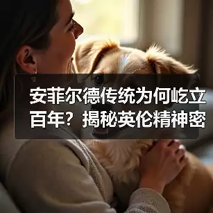 新闻-图8