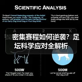 新闻-图9