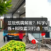 新闻-图7